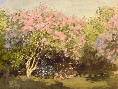 Flieder in der Sonne, 1873 von Claude Monet